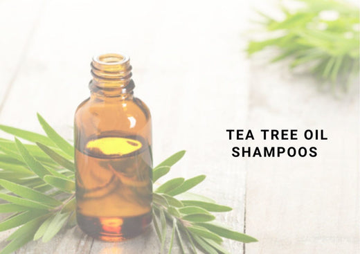10 Best Sulfate Free Clarifying Tea Tree Oil Shampoos For Healthy Clean Scalp 2025